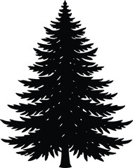 Obraz premium Spruce Tree Silhouette Vector | Spruce Tree Outline Illustration