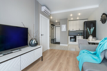 A cozy modern living room with stylish decor and a kitchen in the interior of an open-plan studio apartment.