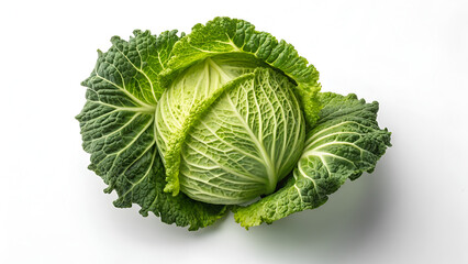 Fototapeta premium Whole fresh romaine salad, lettuce head isolated on white background, healthy raw leafy vegetable , cabbage isolated