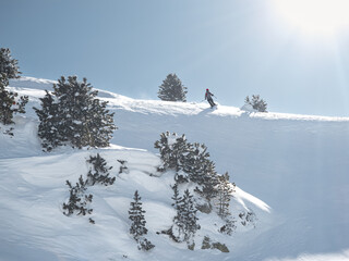 Single female skier making fresh tracks in the backcountry