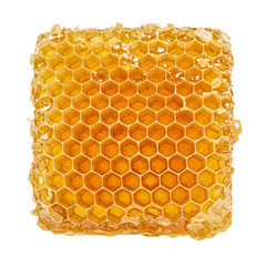 Piece of honeycomb showcasing the natural sweetness of fresh honey