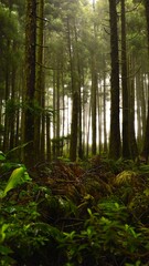 Obraz premium forest in the morning fog