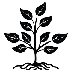 growth plant vector art