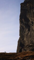 Lonely chamois under a towering cliff