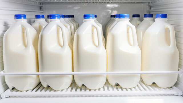 Row of plastic milk bottles aligned in refrigerator door for cold dairy storage