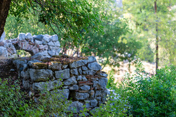 Stone Wall Ruins with Vegetation in Forest