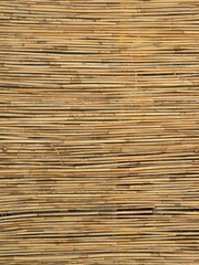 Bamboo fence texture – natural yellow cane background. Close-up of a bamboo fence with parallel yellow canes. Natural texture with warm tones, suitable as a background or design element. Per