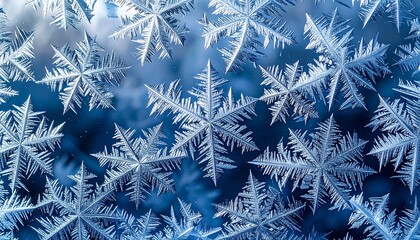Frosted window with intricate snowflake patterns against a blue background