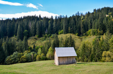 Small, rustic wooden hut with a corrugated metal roof stands in a green field. A dense forest of fir and other trees covers the steep hillside behind the building