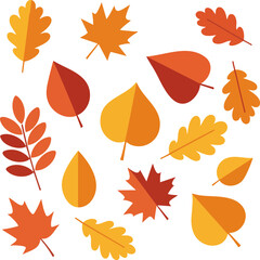 Fototapeta premium Collection of Autumn Maple Leaves in Various Orange Tones Vector