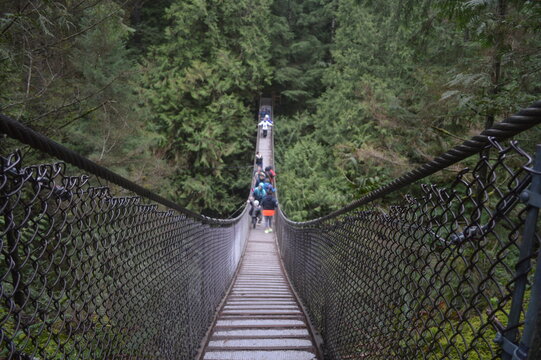 Fototapeta lynn canyon suspension bridge