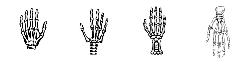 A bold, minimalist hand skeleton illustration, rendered in black, provides a striking visual representation of anatomy and human form, known as Skeleton Hand