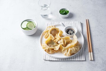 Meat dumplings with sauce in a plate