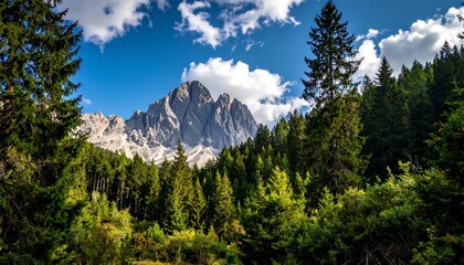 Obraz premium Mountain peak piercing through a dense forest