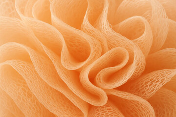 Macro Close-Up of a Soft Peach-Colored Loofah Sponge Texture