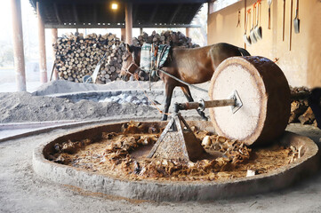 Horse powered stone grinding wheel used in the production of mezcal in Mexico. Domestic horse working h at distillery factory