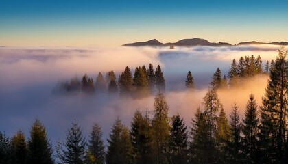 Obraz premium trees loom above a blanket of fog creating a serene and mystical atmosphere in the early morning light