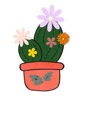 cactus in pot