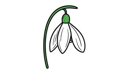 Simple, outlined illustration of a snowdrop flower with a delicate stem and green details.