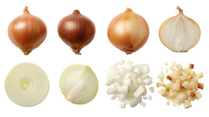 Onion Variety Mockup