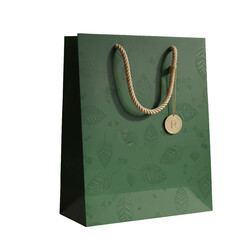 Green paper shopping bag with rope handles.