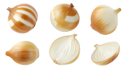 Onion Variety Mockup