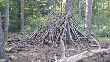 Obraz premium Stacked branches forming a shelter structure in a forest clearing 