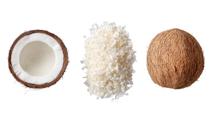 Coconut Mockup