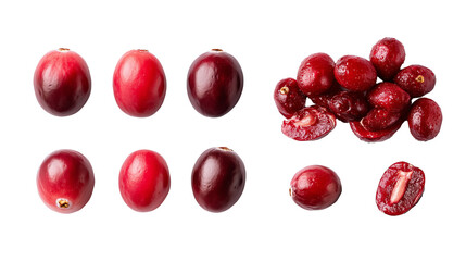Cranberry Mockup