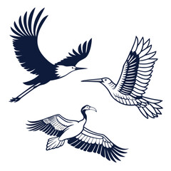 Obraz premium Three Stylized Flying Birds in Flight Detailed Line Art Design.