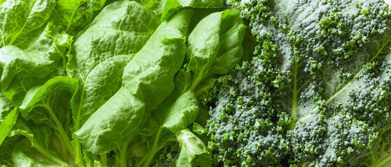 Fresh Spinach and Kale Leaves Flat Lay
