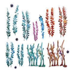 Marine Life Set, watercolor digital Clip Art, Ocean Elements, Backgrounds PNG, Digital Sea Animals, Coral, Reef, anemone fish