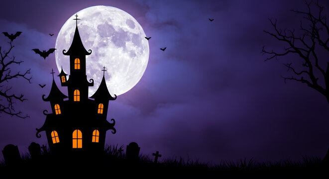 Spooky Haunted Mansion with Lit Windows, Full Moon, Bats, and Twisted Trees in a Dark Night Setting