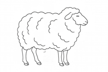 Minimalist line drawing of woolly sheep profile, positioned sideways on clean transparent background, suitable for design projects