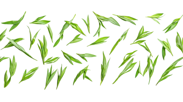 The image displays a seamless pattern of various green leaves scattered across a black background, resembling a digital design element on white background 