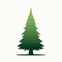 Obraz premium Evergreen tree silhouette illustration on white background.