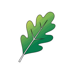 Green Oak Leaf Illustration with Detailed Veins.