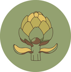 Fototapeta premium Detailed botanical illustration of a single artichoke with a natural color palette