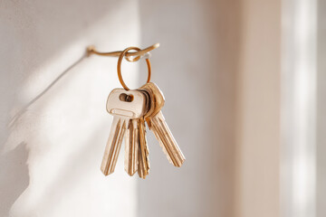set of vintage keys hanging elegantly on hook by door against softlit background