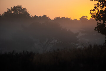 Westruper Heide bei Sonnenaufgang im September mit Nebel über der Heidelandschaft