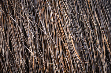 Thatch roof of a bungalow background