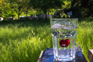Fresh glass of water with cherries and sparkling bubbles, captured in nature with lush greenery and sunlight, perfect for a refreshing summer drink on a warm day