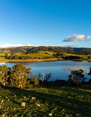 Serene rural landscape
