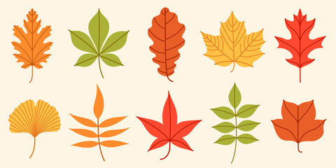 Obraz premium Flat vector collection of colorful autumn leaves illustration with different shapes. Simple fall leaf set for scrapbooking, card, pattern, banner, textile, packaging, printable, kids design.