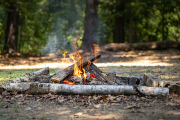 Campfire in Woodland Setting