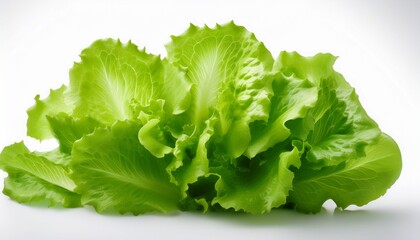 isolated vibrant green lettuce leaves against a white background