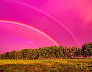 Foto auf Acrylglas Rosa Stunning double rainbow over a green field and trees, set against a vibrant, surreal pink and magenta sky, capturing a magical natural phenomenon.  © fara
