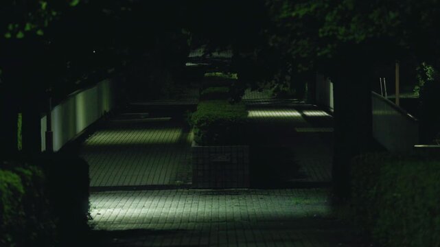 
Tokyo, Japan - September 12, 2025: A rat running across a pavement at night