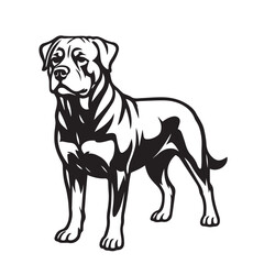 Vector representation of a Rottweiler in minimalist form, created in monochrome with thick outlines, suitable for posters, logos, pet branding, or design illustrations.