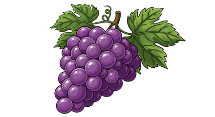 Obraz premium Vibrant Purple Grapes with Fresh Green Leaves Against White Background